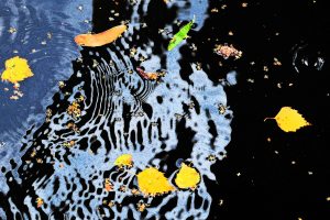 Two Worlds: Sheffield Canal 5