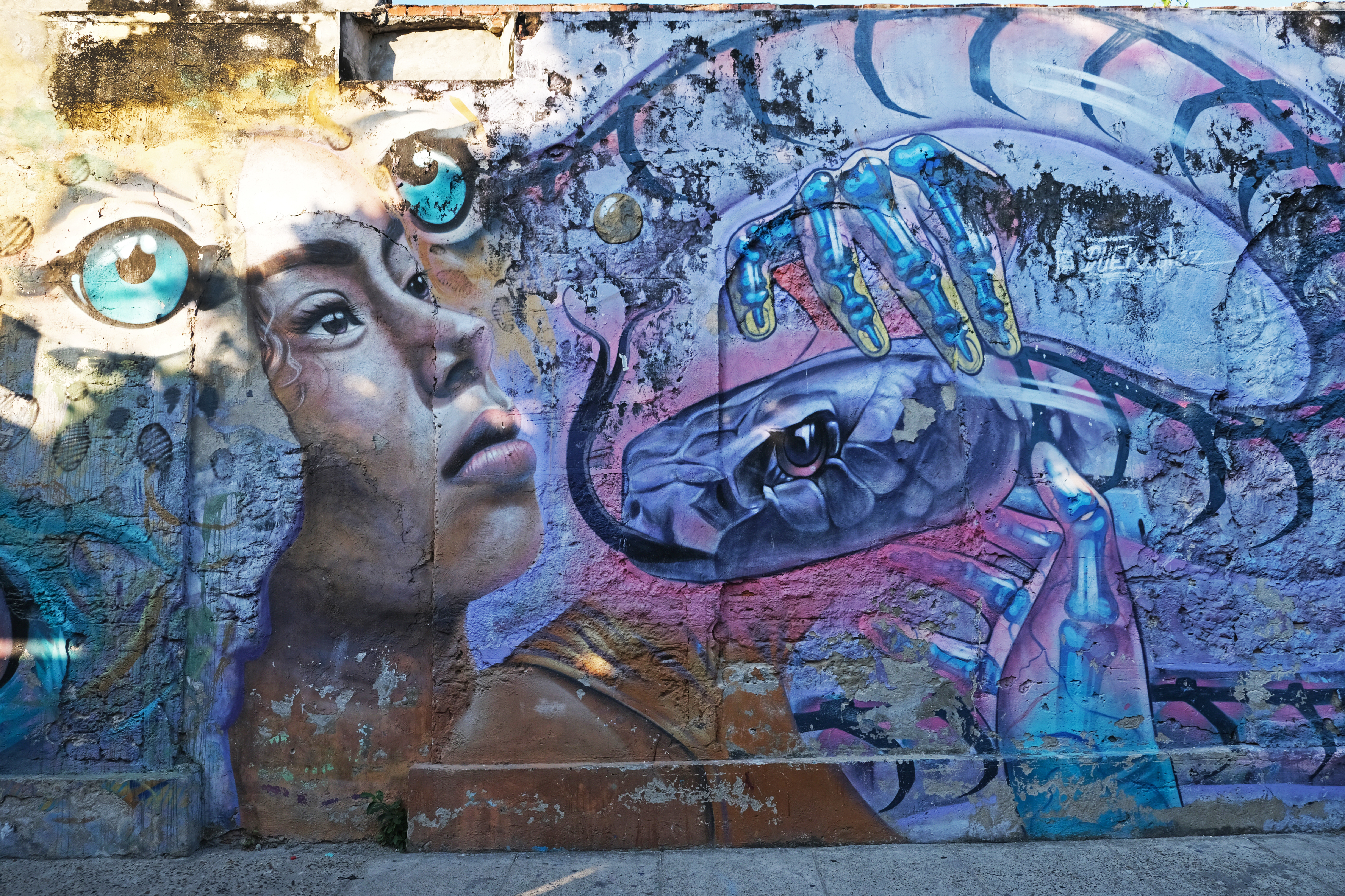 Street art depicting a woman looking powerfully towards a snake 